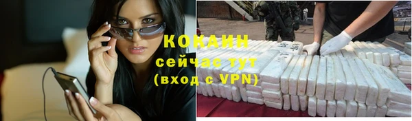 гашик Нефтекумск