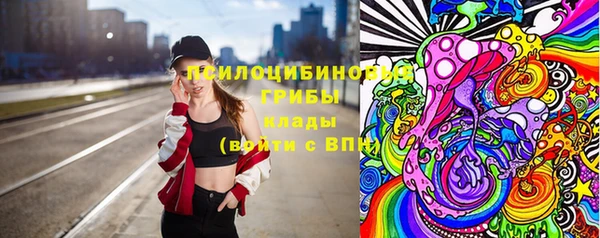 молекула духа Наволоки