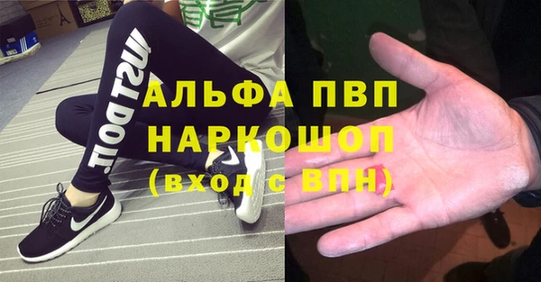 гашик Нефтекумск