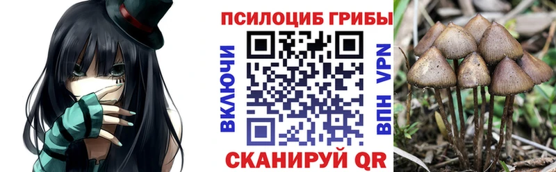 Псилоцибиновые грибы ЛСД  Купить где  Каргат 